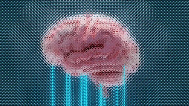 Neuralink привлекает 650 миллионов долларов в раунде финансирования серии E